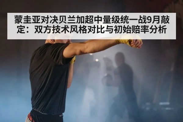 boxer punching